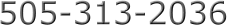 505-313-2036